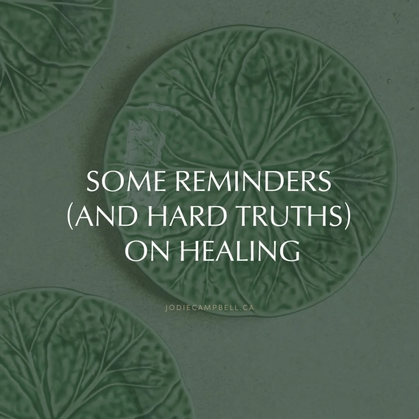 Progress can look painfully slow when you&rsquo;re doing the work and still not seeing the &ldquo;after&rdquo; photo yet.

A seed does not become a tree overnight. 
First it roots. 
Quietly. 
Underground. 
Where no one claps for you. 
That&rsquo;s of