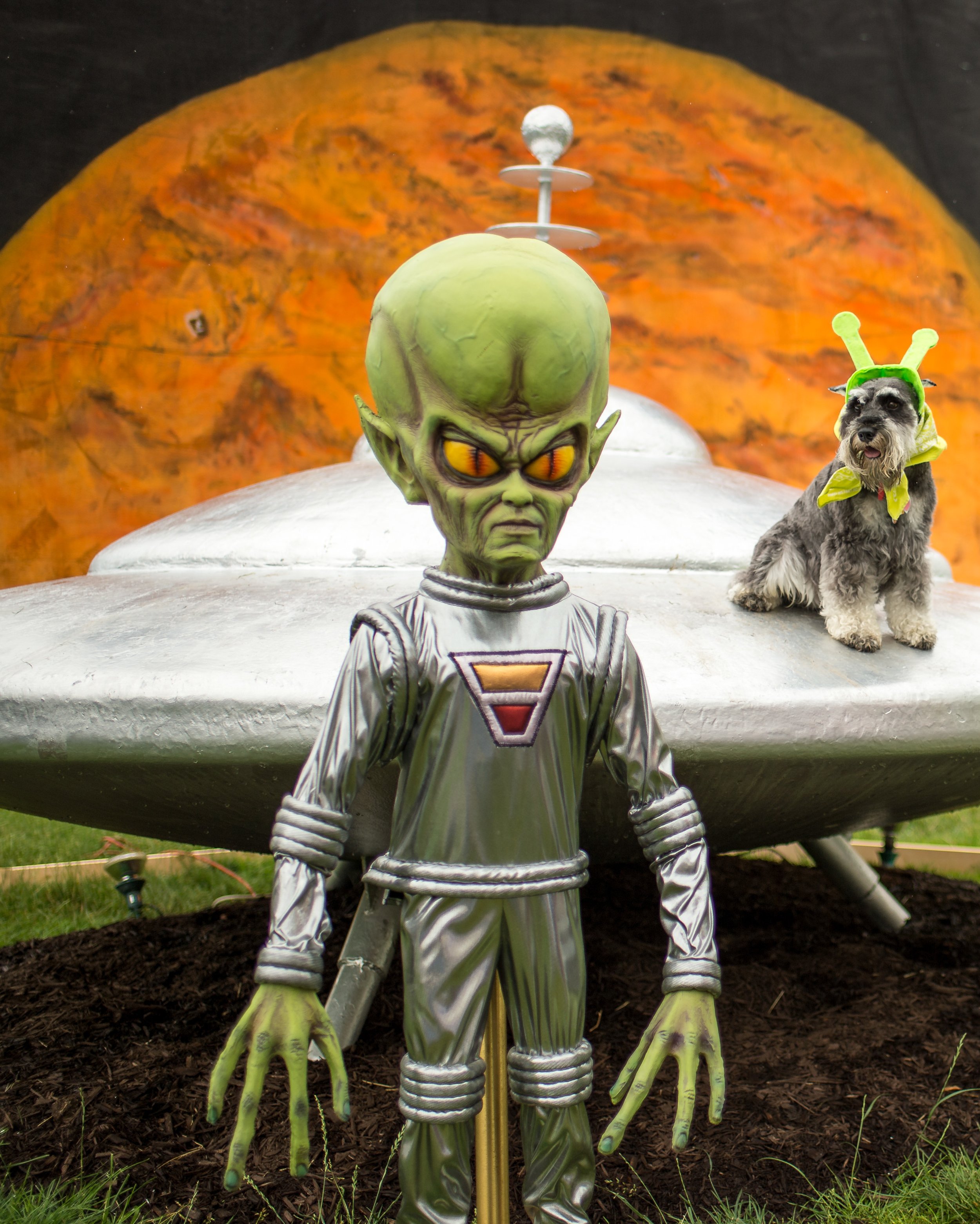 Aliens