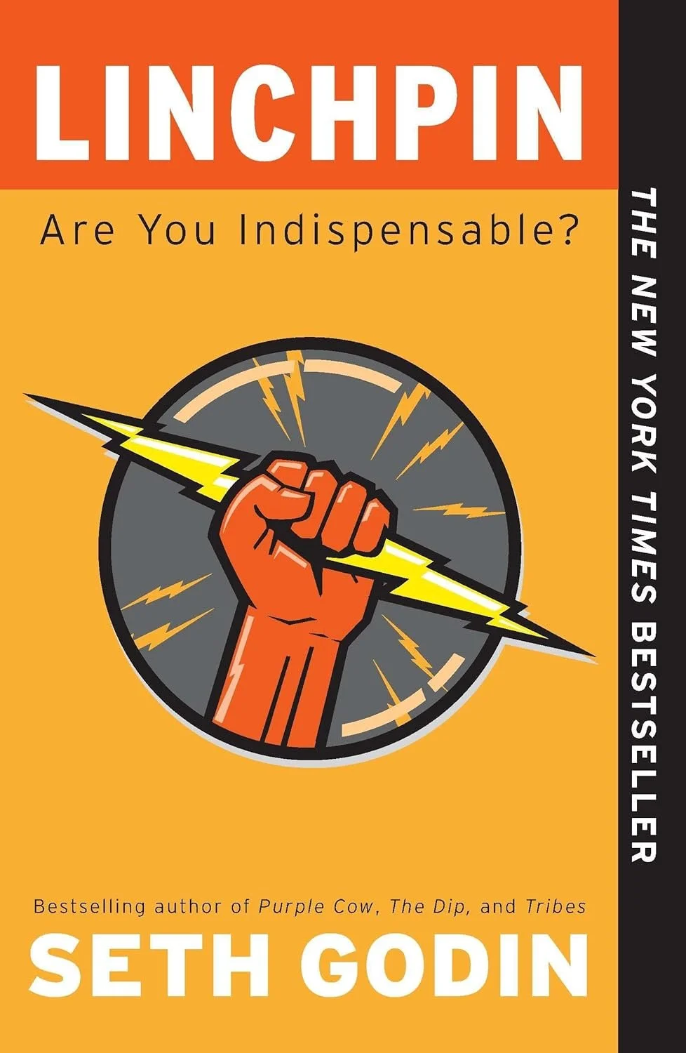 Cover of the book, Linchpin, by Seth Godin