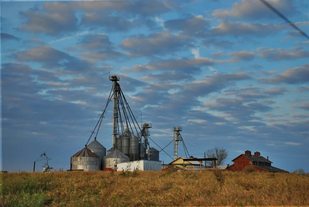 Organic Feed — Coyote Creek