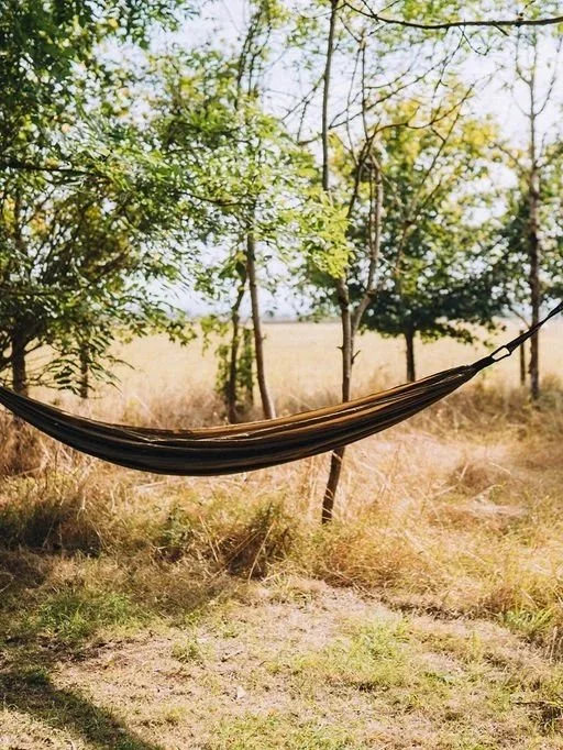 A hammock tied between two trees in a backyard or park area with grass, trees, and an open field in the background.