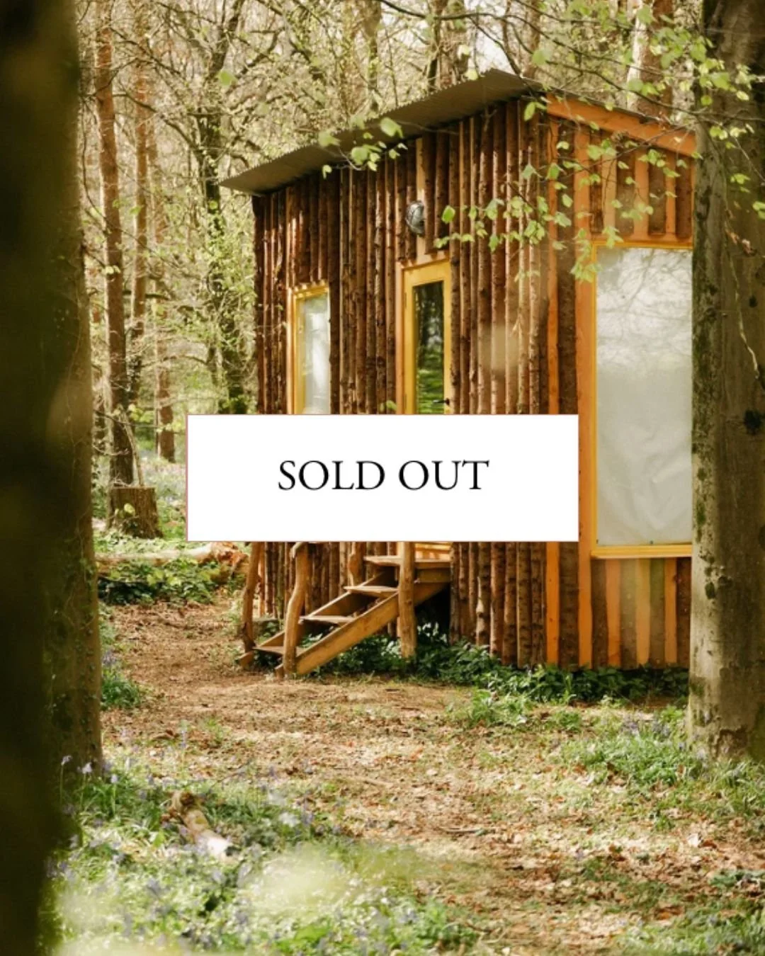 A small wooden cabin with a natural log exterior, located in a forest. The cabin has a small staircase leading to a door with glass panels, and two large windows covered with frosted protective film. Surrounding the cabin are trees and greenery, with a dirt path leading up to it.