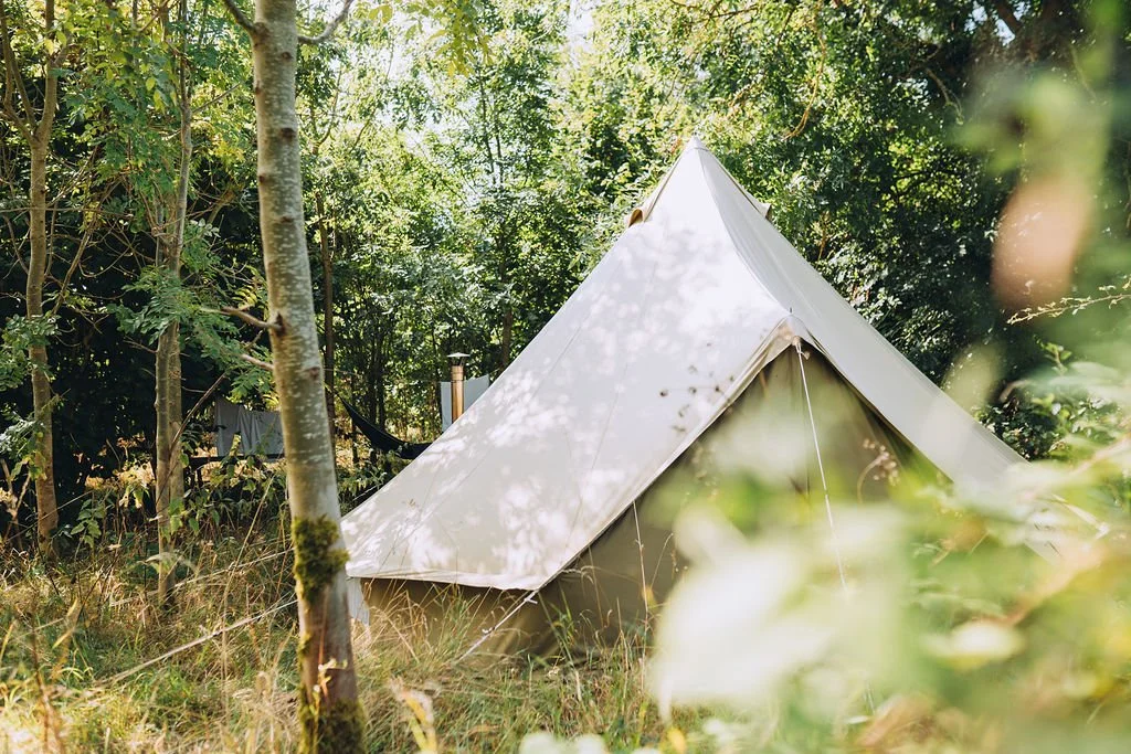 A white bell tent set up outdoors in a forested area with trees and grass.