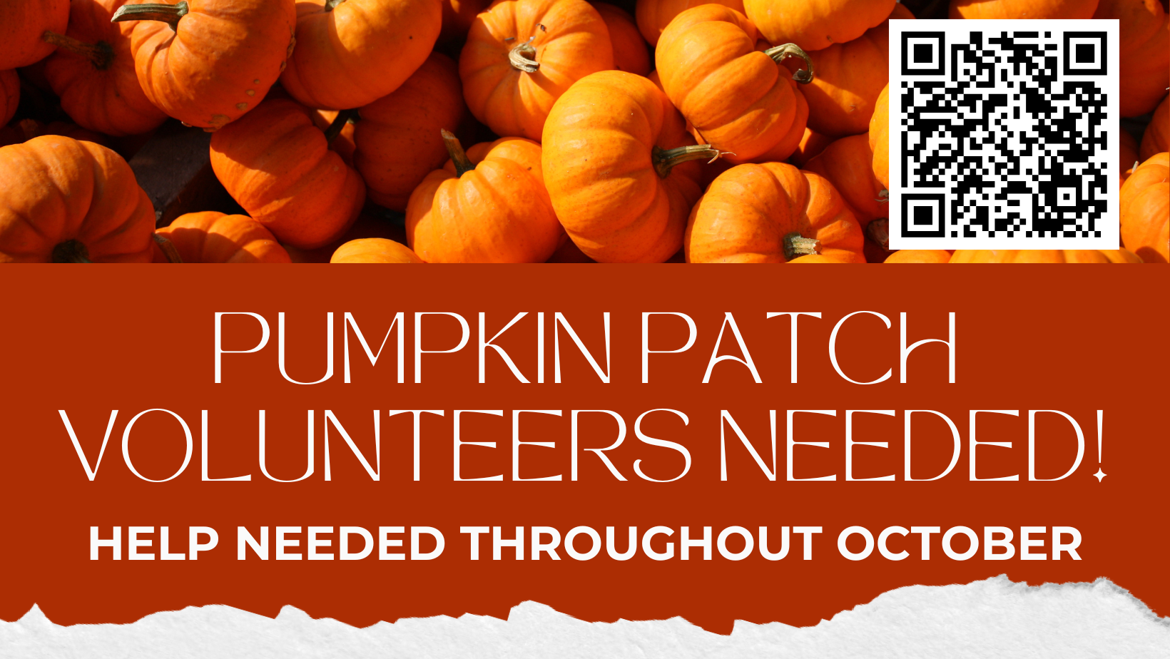 Pumpkin Patch Volunteer Signup