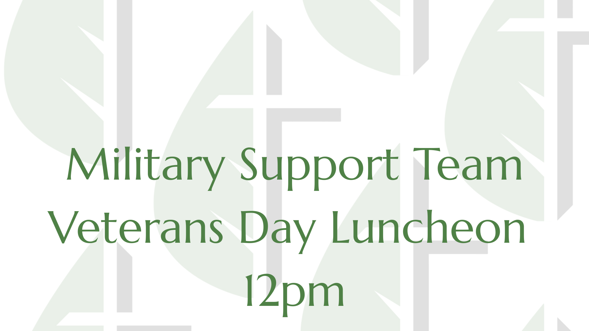 Veteran's Day Luncheon - Military Support Team