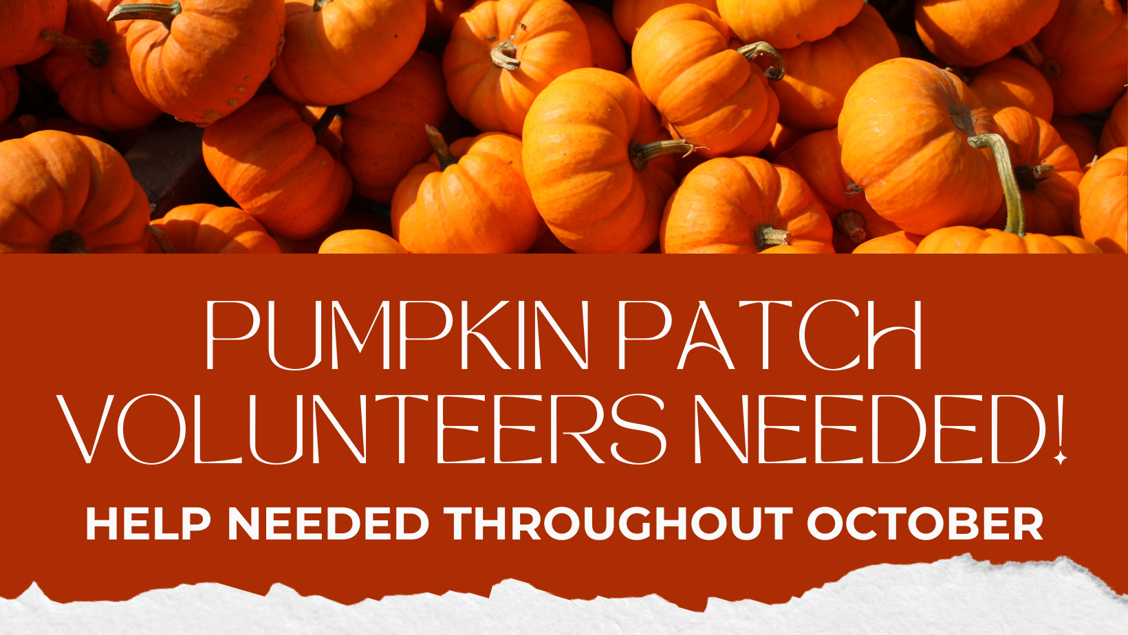 Pumpkin Patch Volunteer Signup