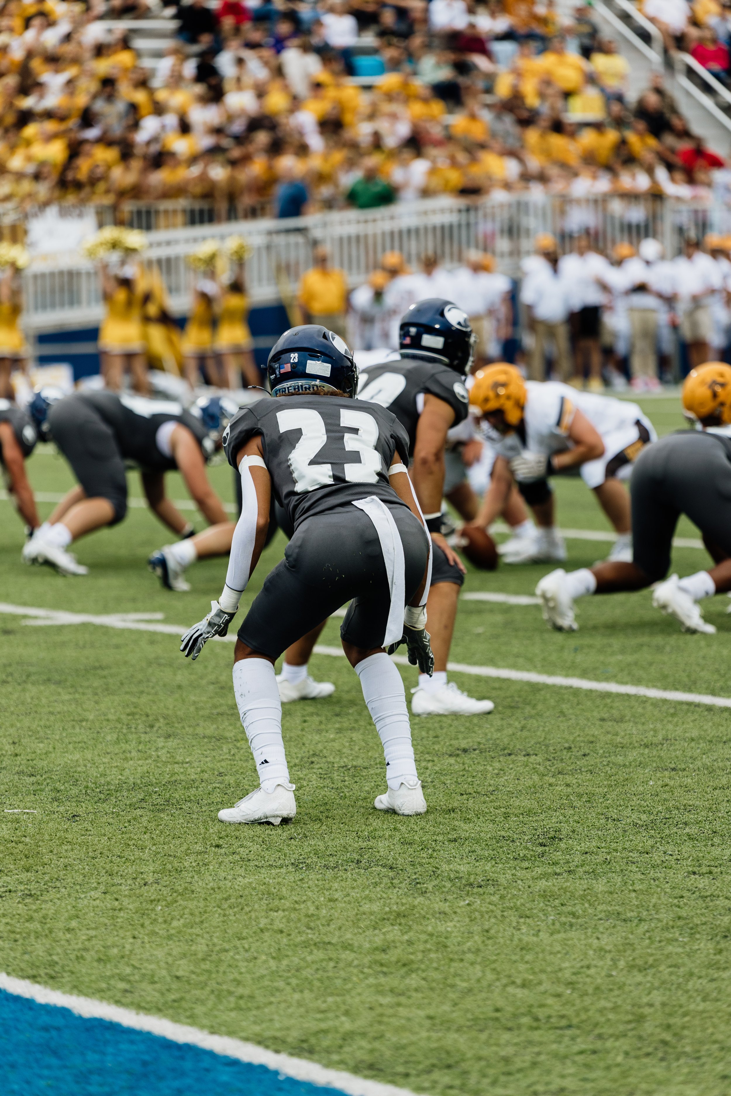 American football players in black uniforms are preparing for a play on the field, with a crowd in the stands in the background.