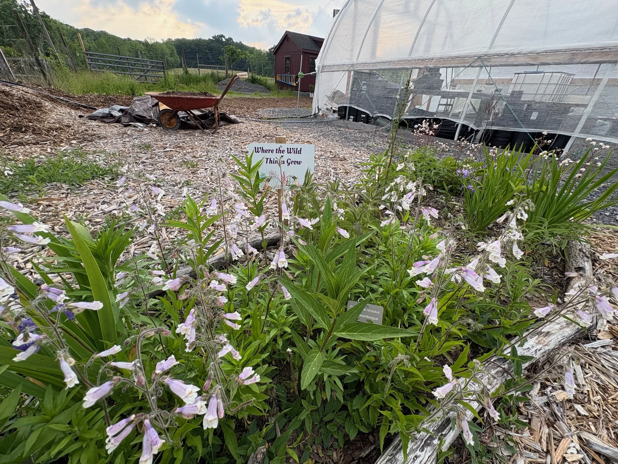 IMAGINENativePlantFarmGarden.jpg