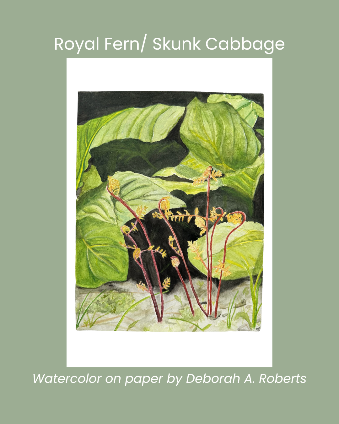 Copy of Bluebeard Lily (4).png