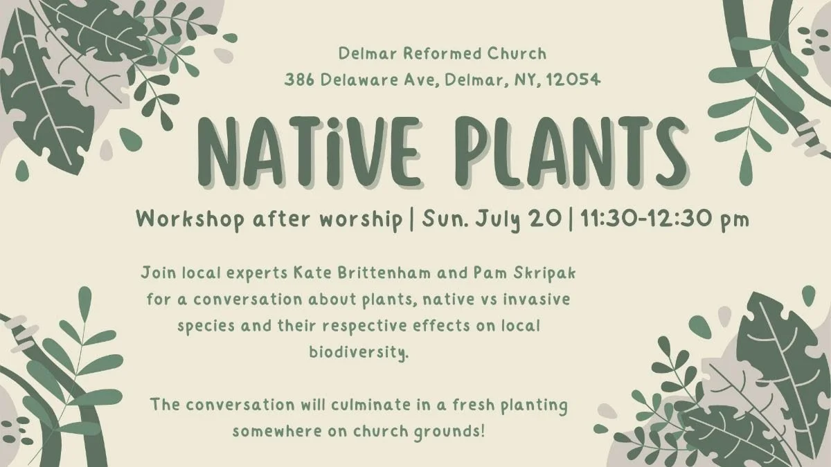 Native Plants Workshop