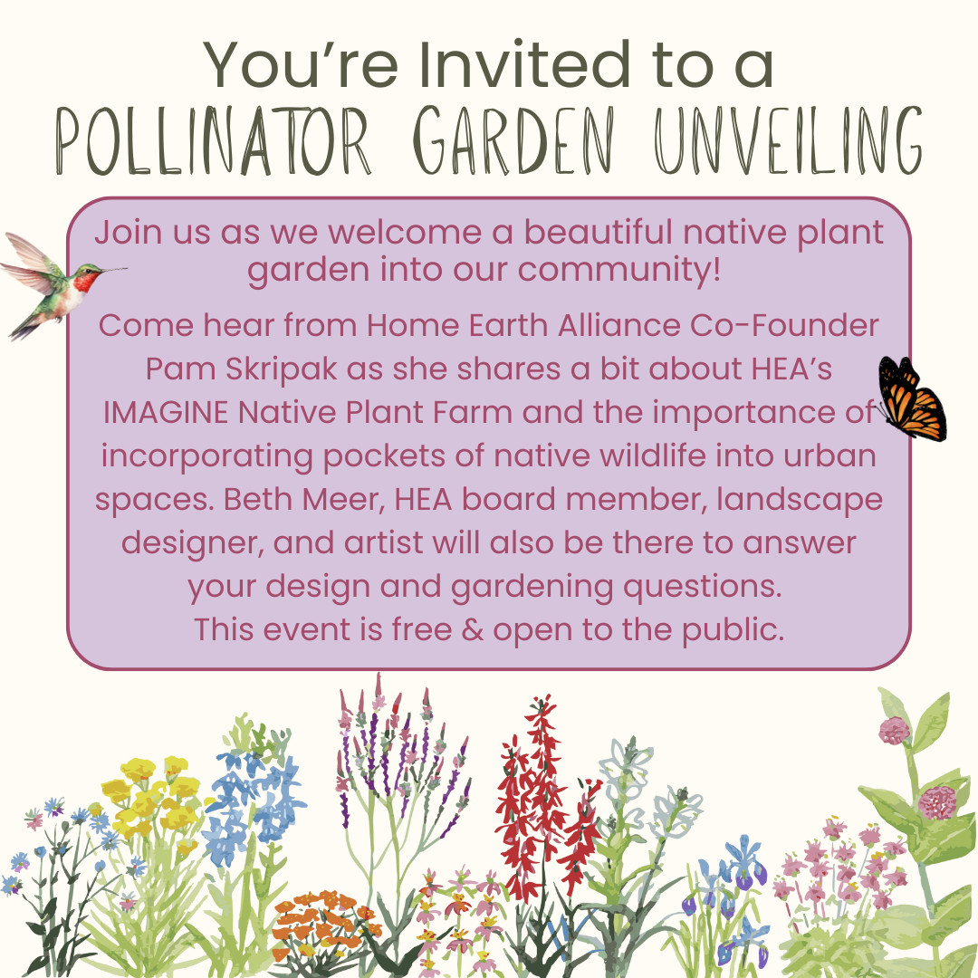Pollinator Garden Unveiling