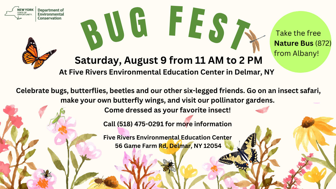 Bug Fest