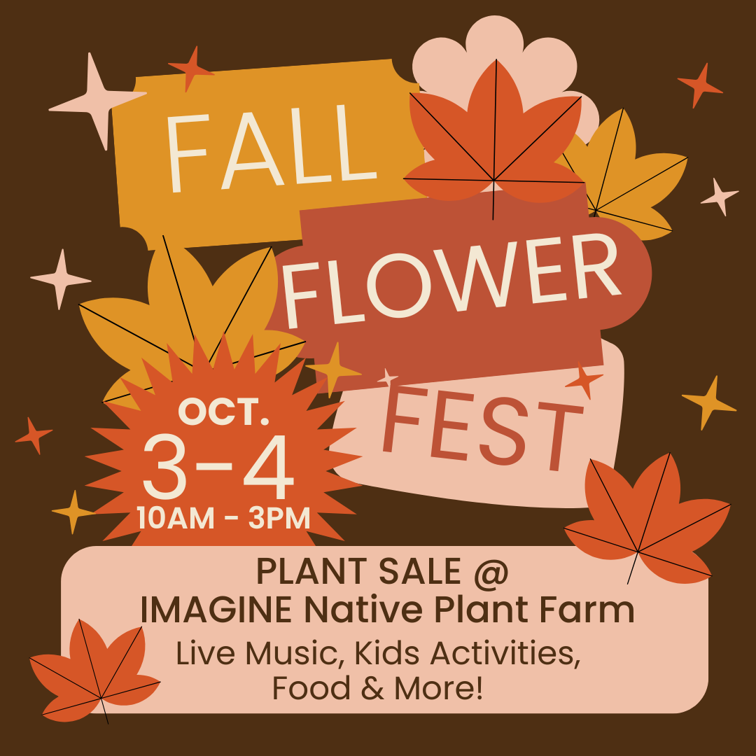 Fall Flower Fest