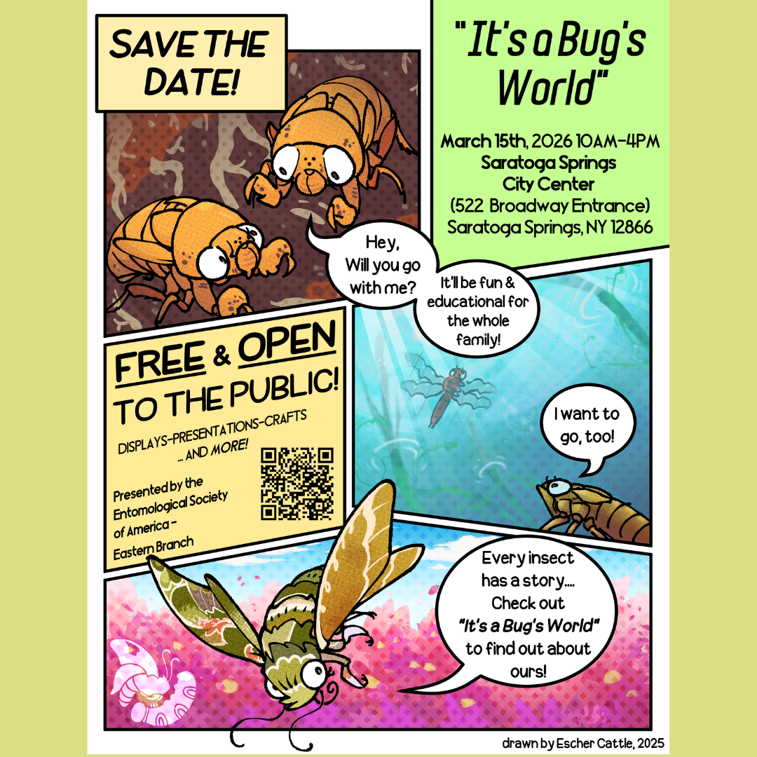 It's a Bug's World Insect Expo