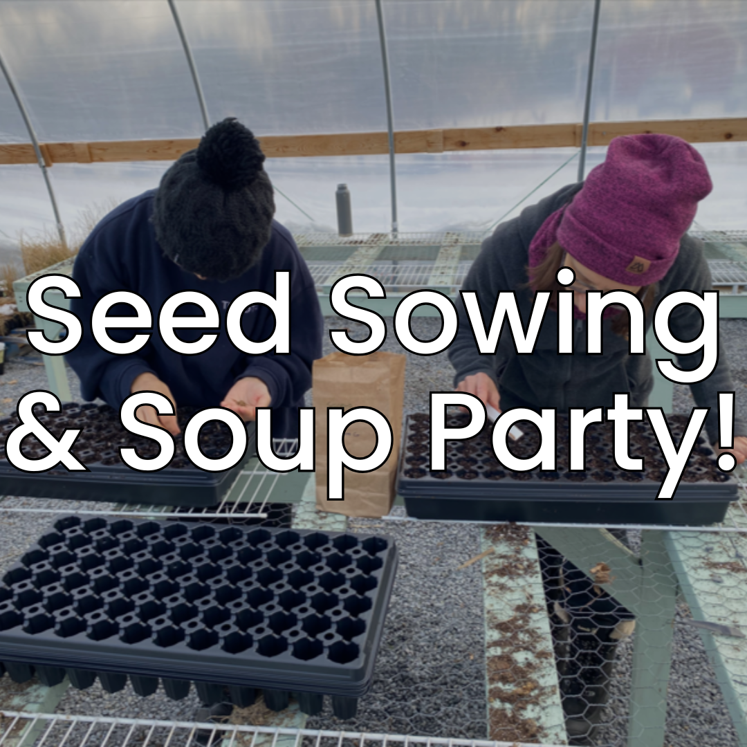 Seed Sowing & Soup Party!