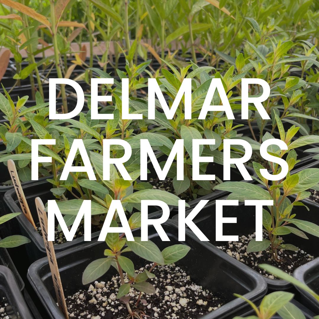 Delmar Farmers Market
