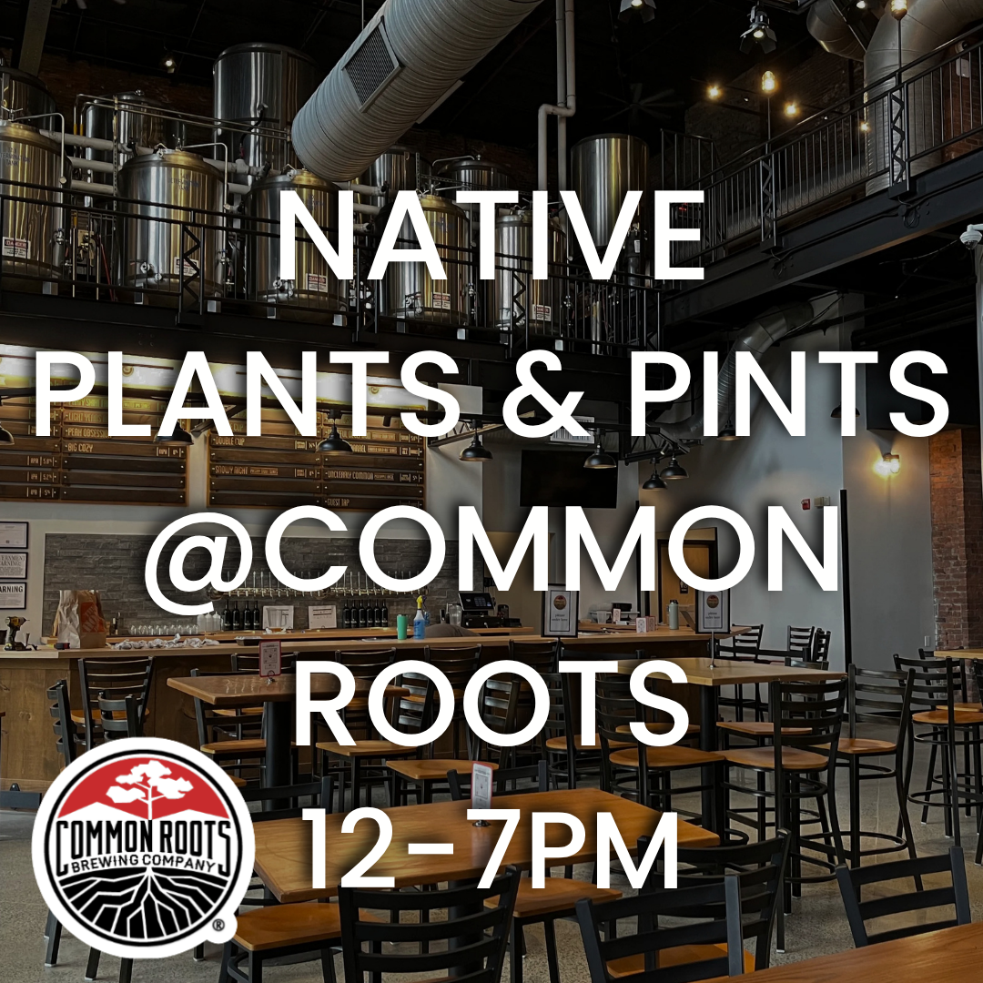Native Plants & Pints at Common Roots