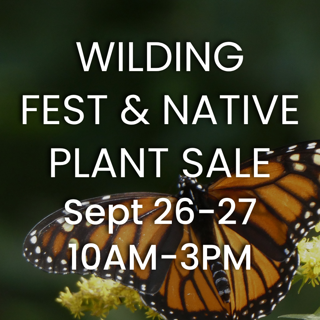 Wilding Fest & Native Plant Sale 2026