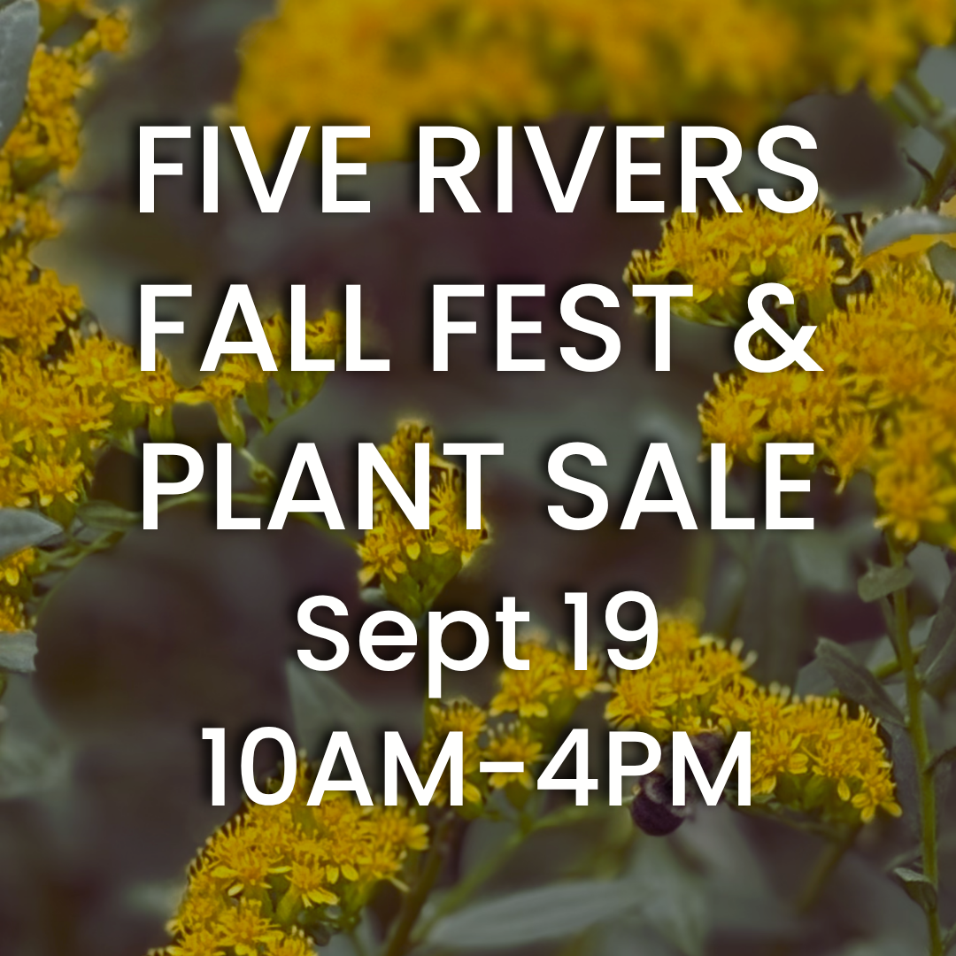 Five Rivers Fall Festival