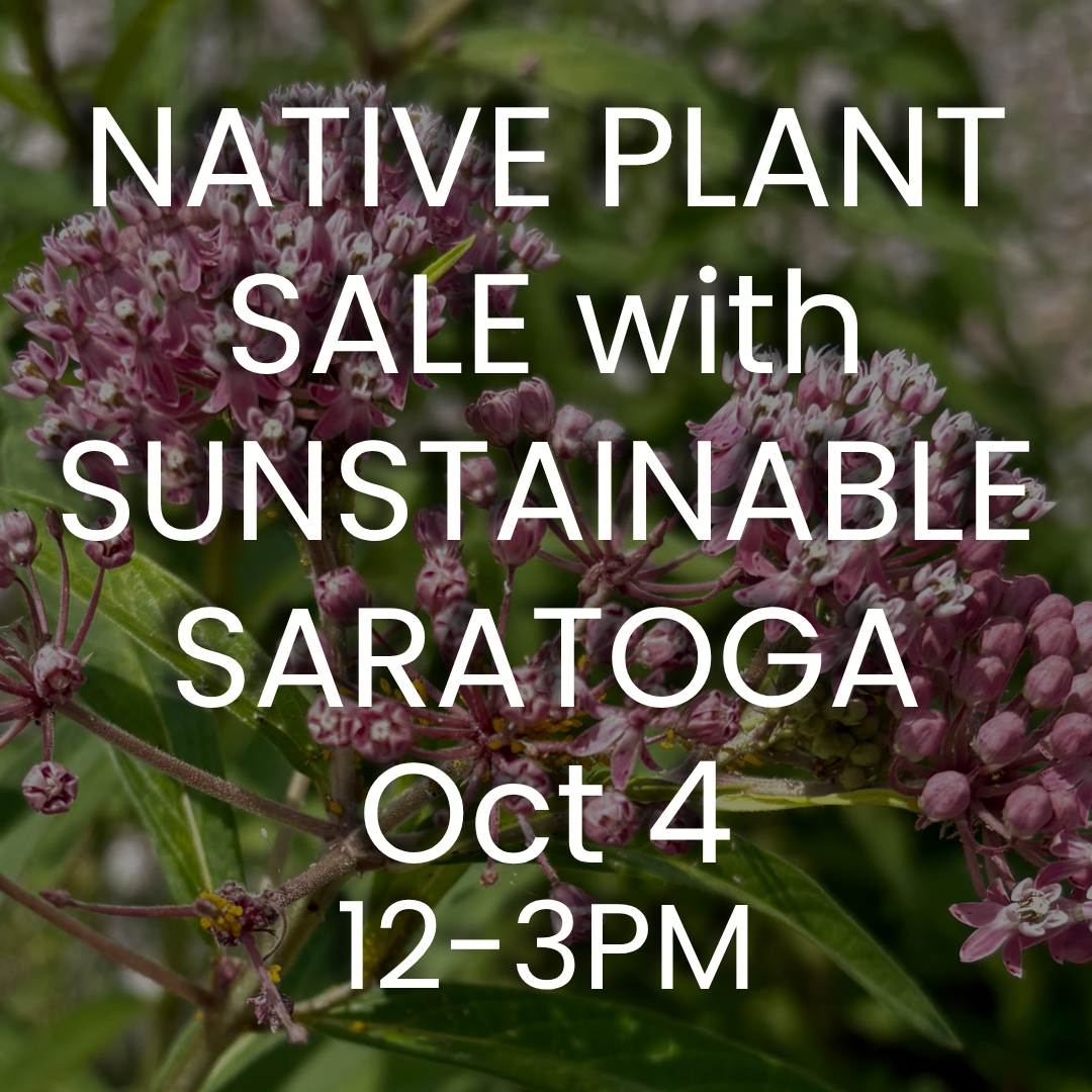 Native Plant Sale with Sustainable Saratoga
