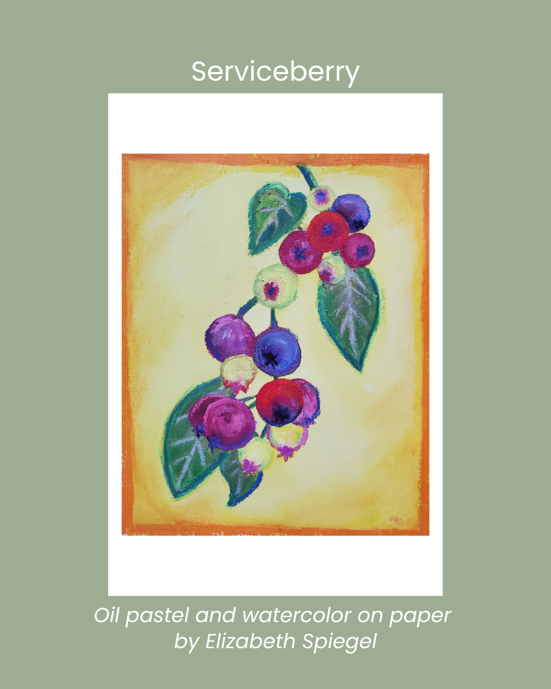 Individual Notecards