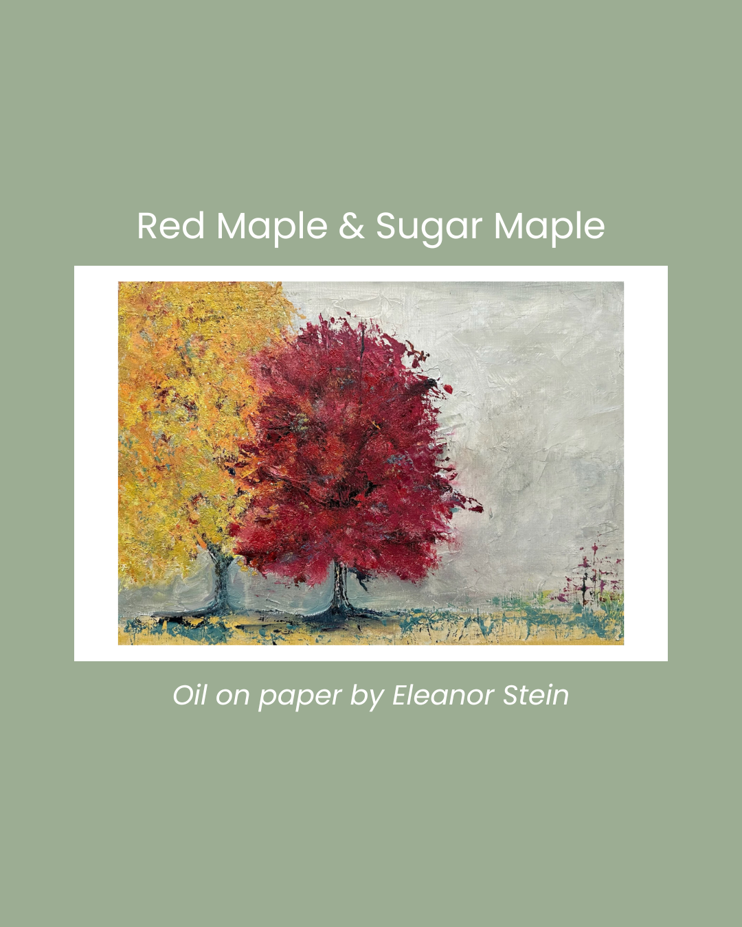 Copy of Bluebeard Lily (8).png