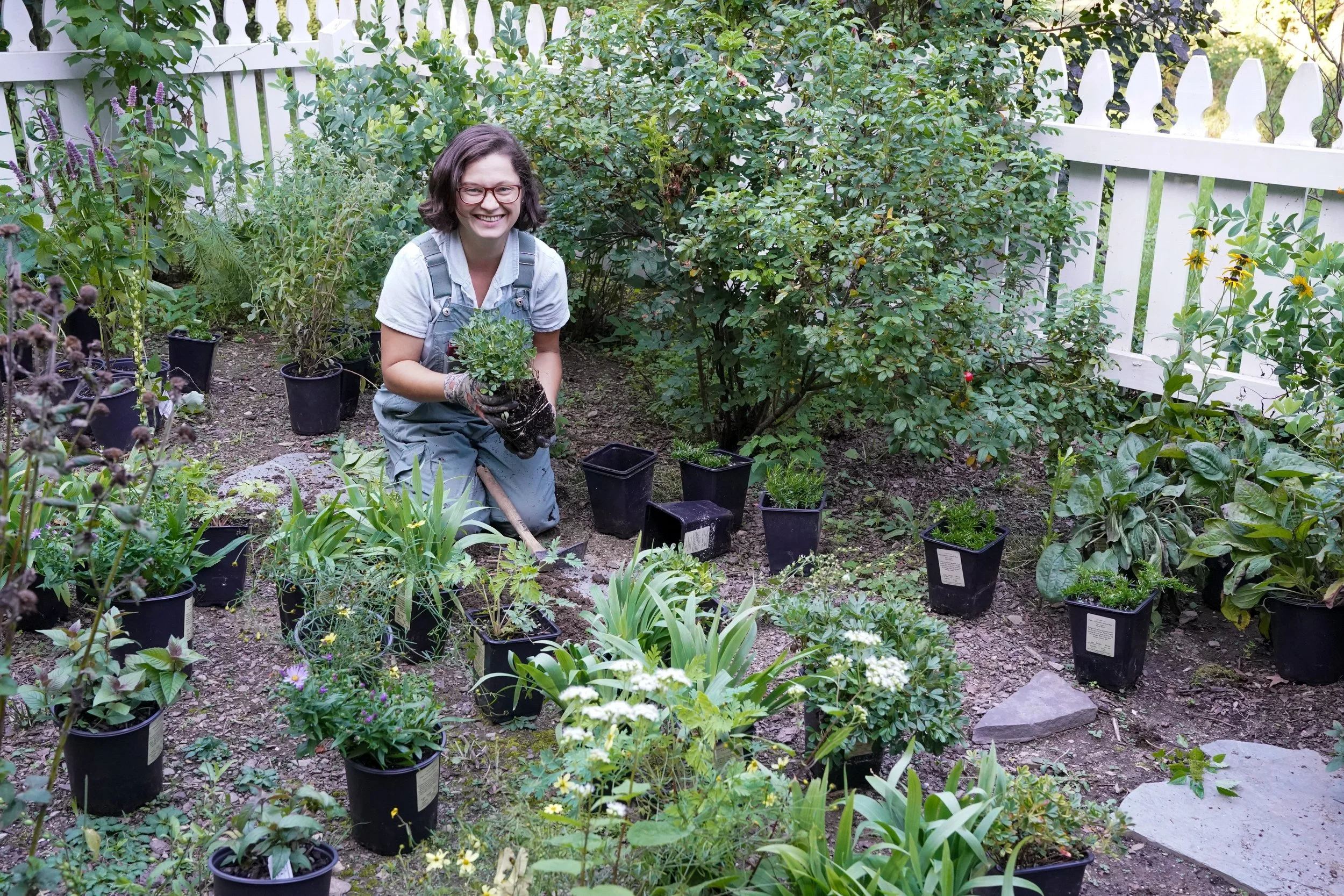 Pocket Pollinator Garden Design