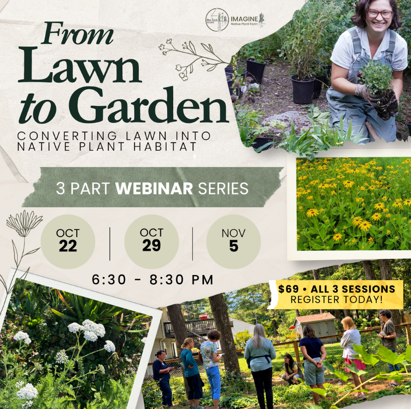 From Lawn to Garden: Converting Lawn into Native Plant Habitat