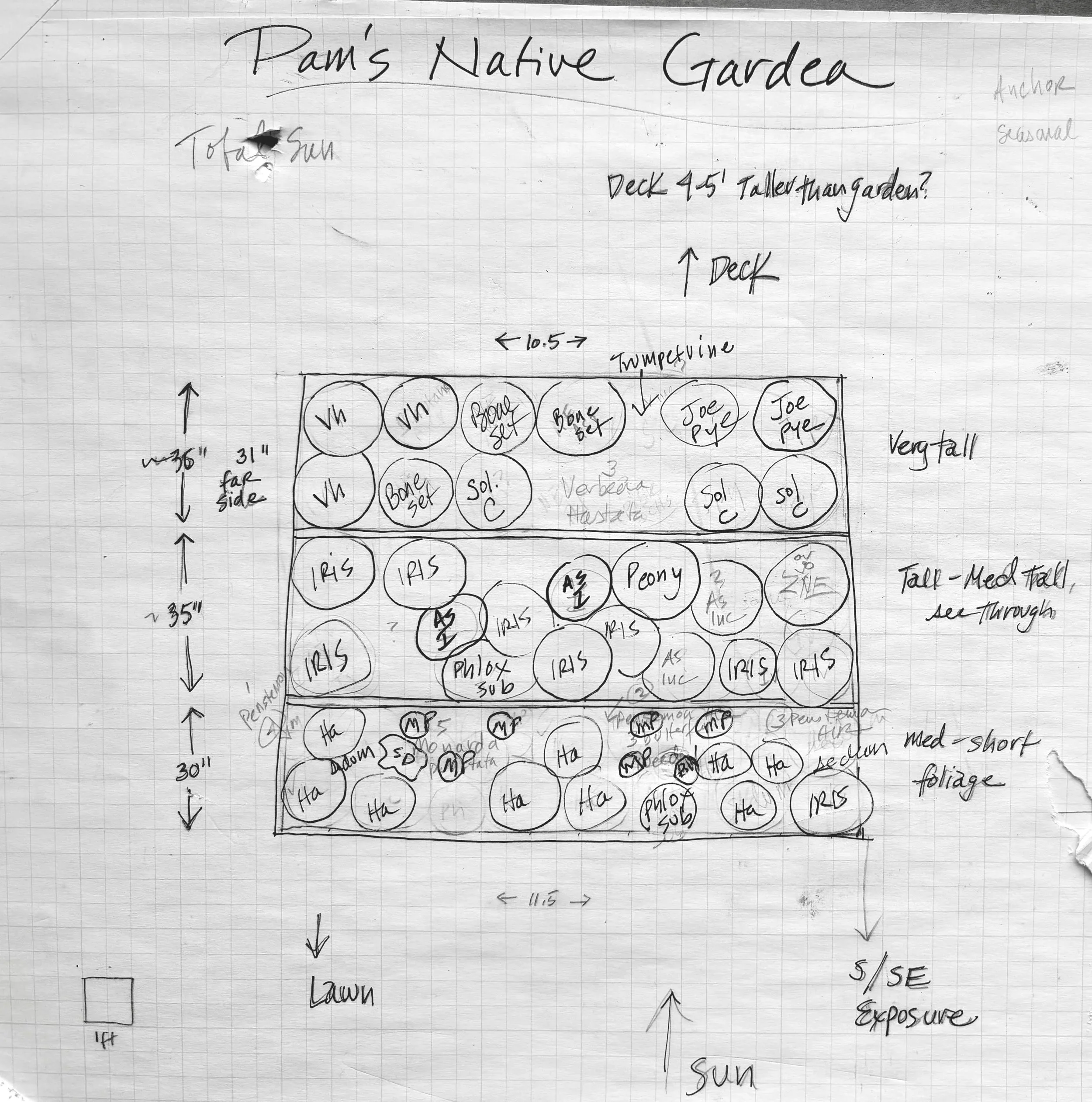 Pam%27s+Garden+Design+Sketch.jpg