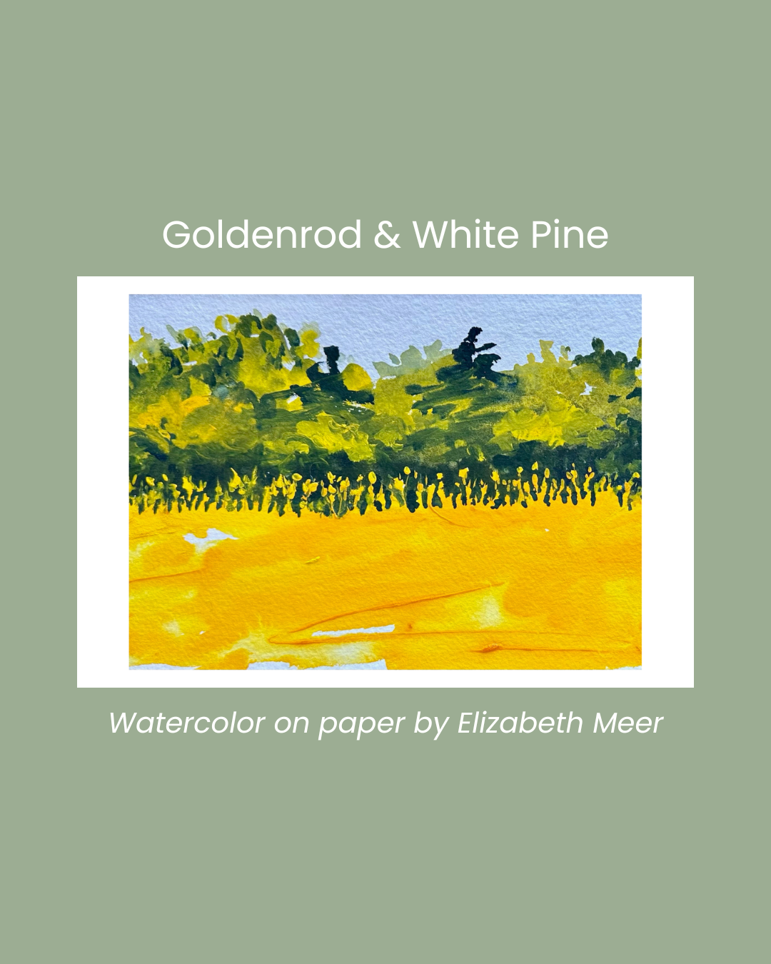 Copy of Bluebeard Lily (9).png