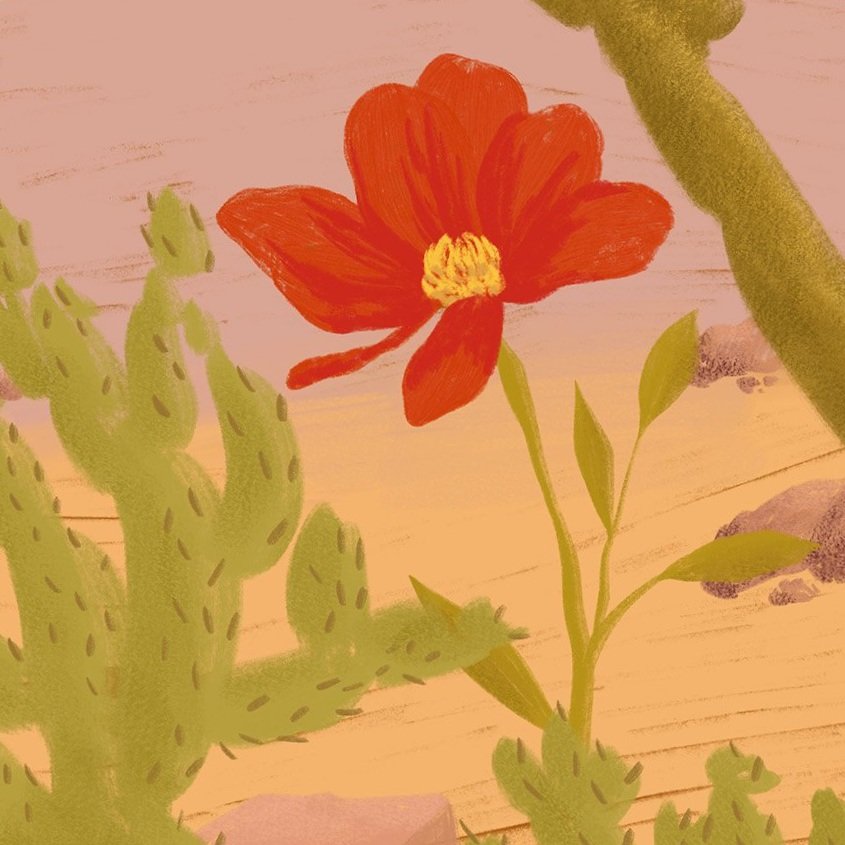 Week 6 Motion Design