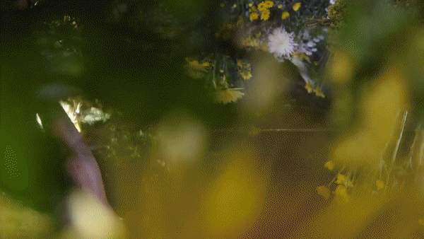 CREATIVE DIRECTION + PHOTOGRAPHY + VIDEO DIRECTION // Client: Loeffler Randall