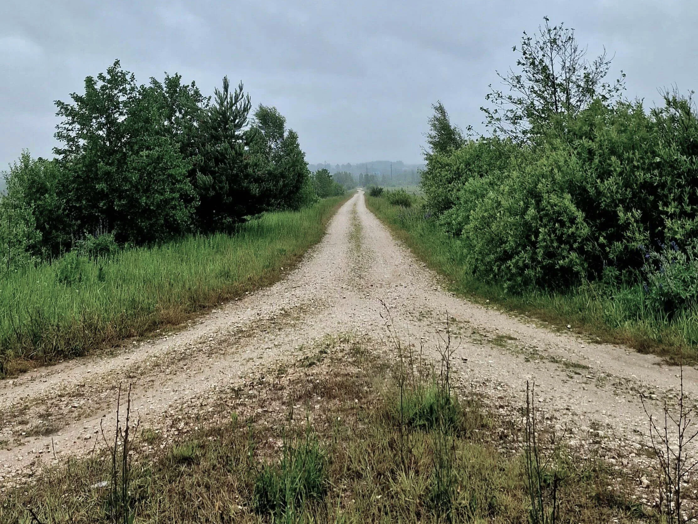 Part I: Focus on REACT in Relationship Practice