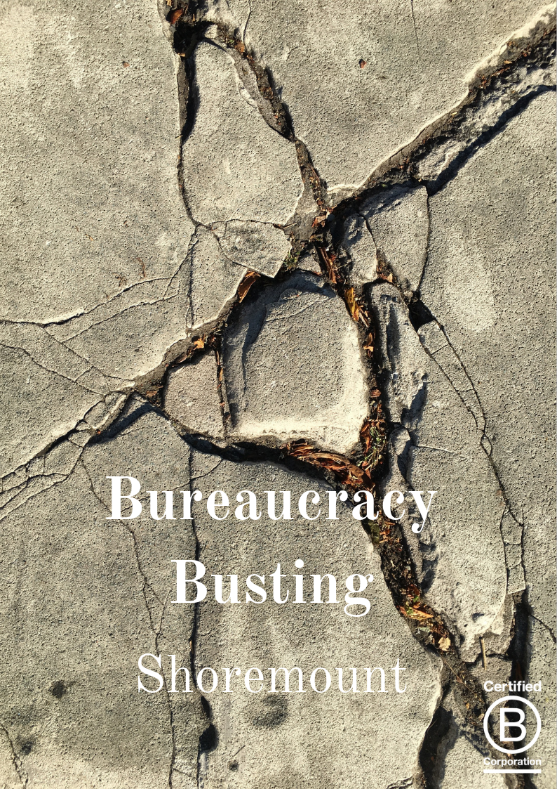 Bureaucracy Busting