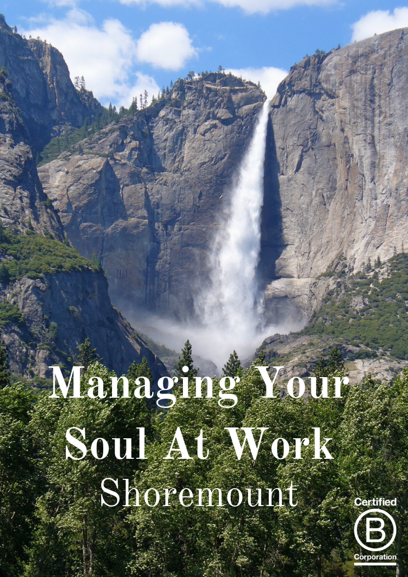 Your Soul At Work
