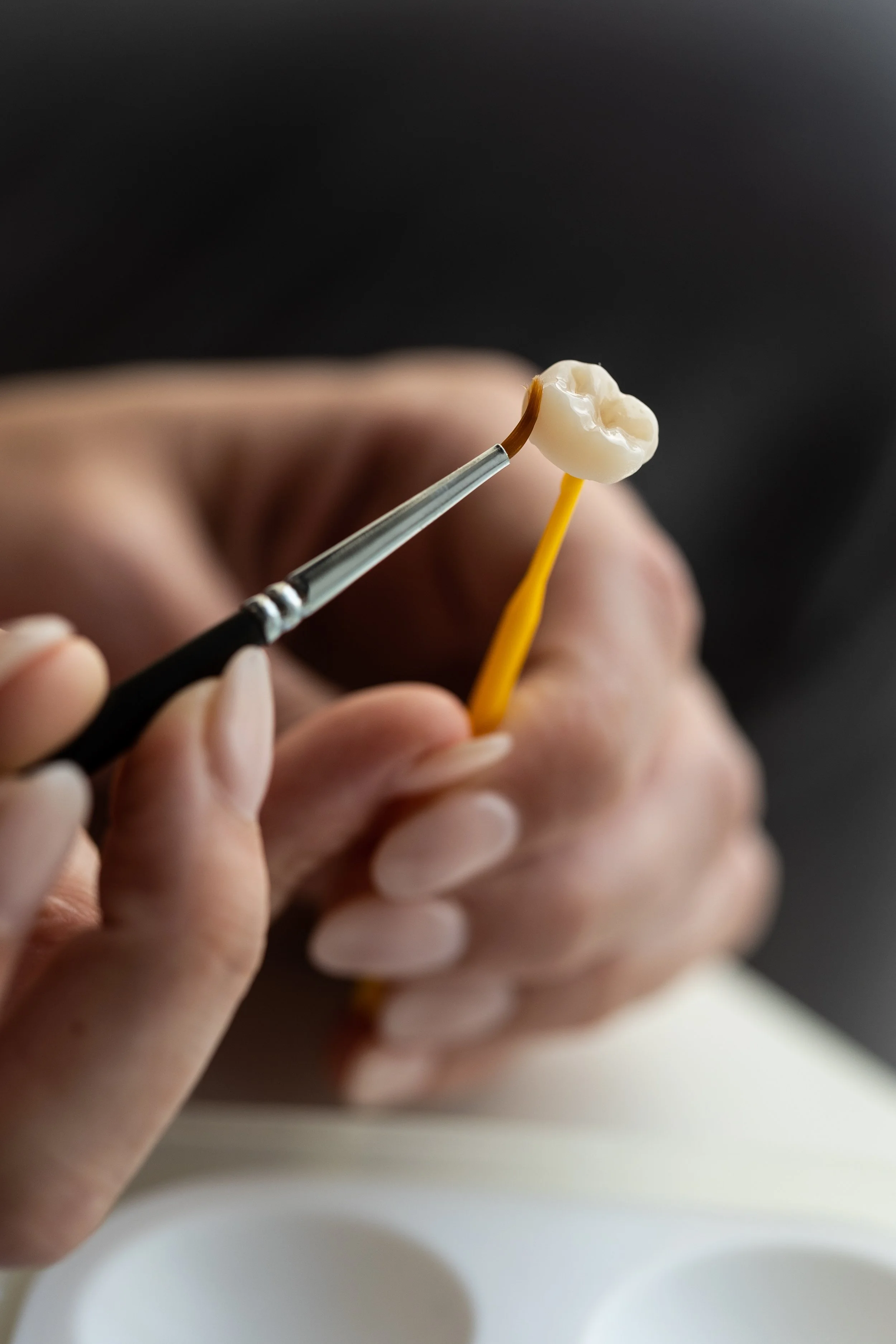 About Our Practice — Zeis Dental Edina, MN General and Cosmetic Dentist