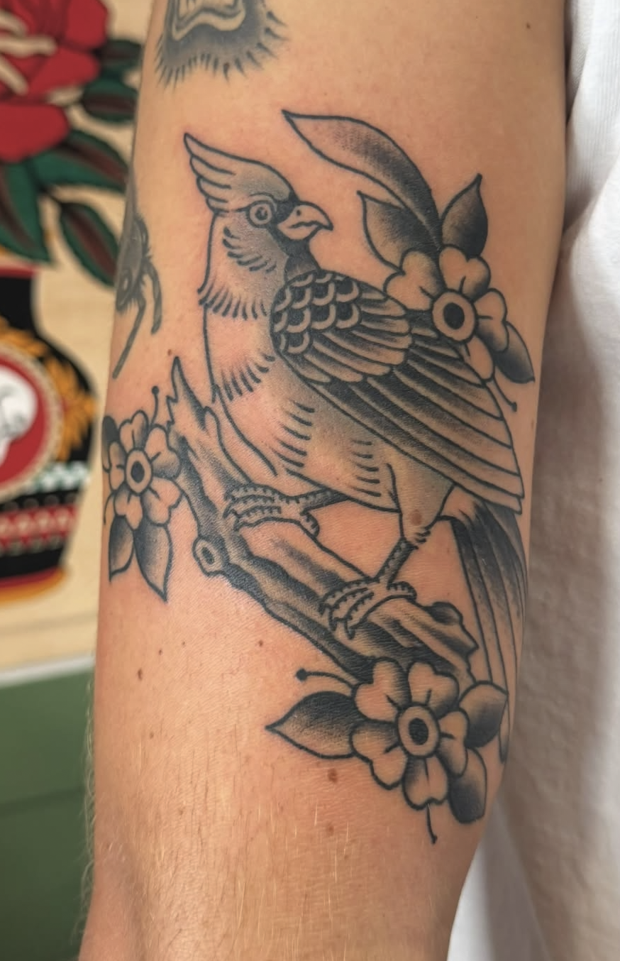 For the Birds