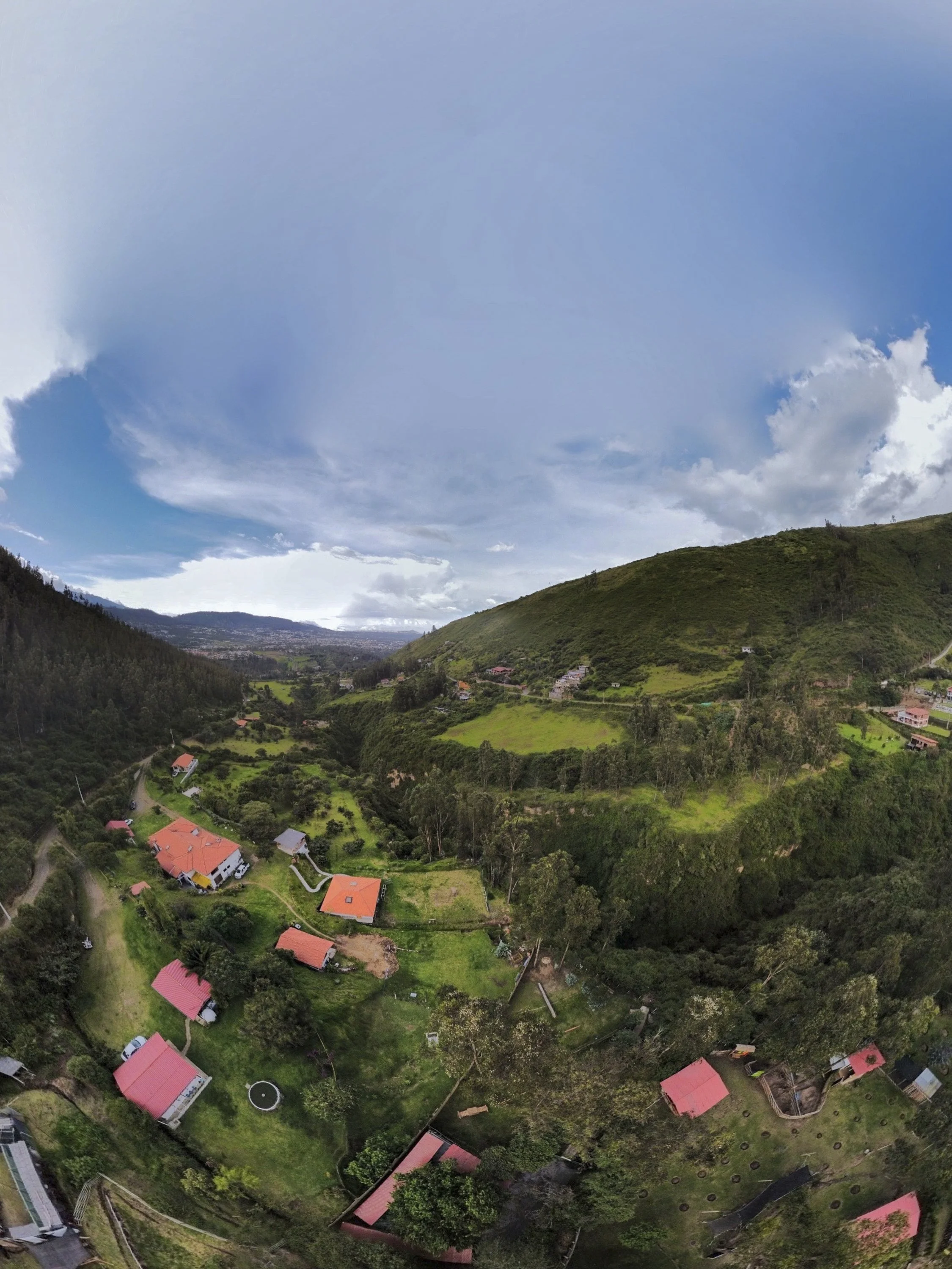 Visítanos — JARDIN ALADO