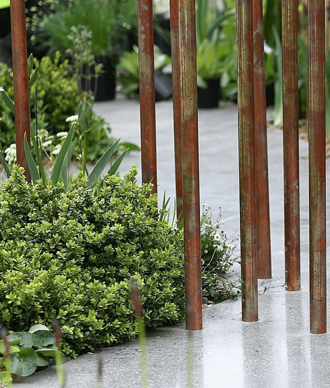 Cloudy Bay Discovery Garden - RHS Chelsea Flower Show 2013 - Copper