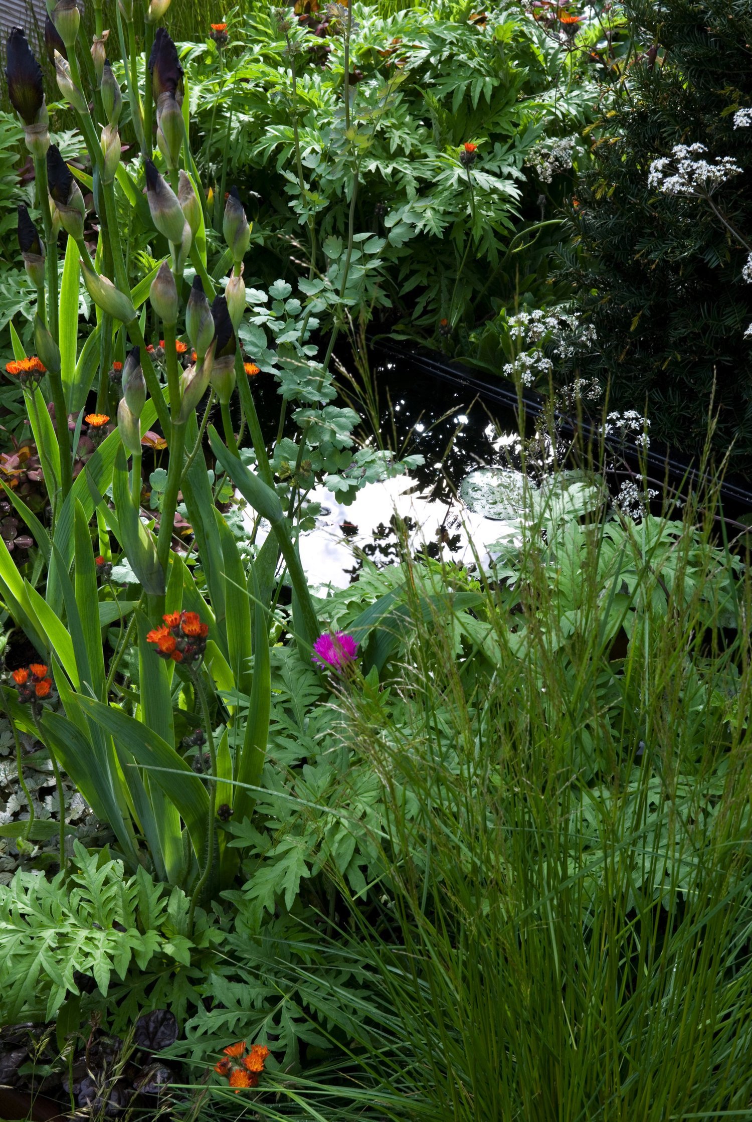 RHS Chelsea Flower Show 2009 - Angus Thompson - Water Troughs (image copyright Angus Thompson)
