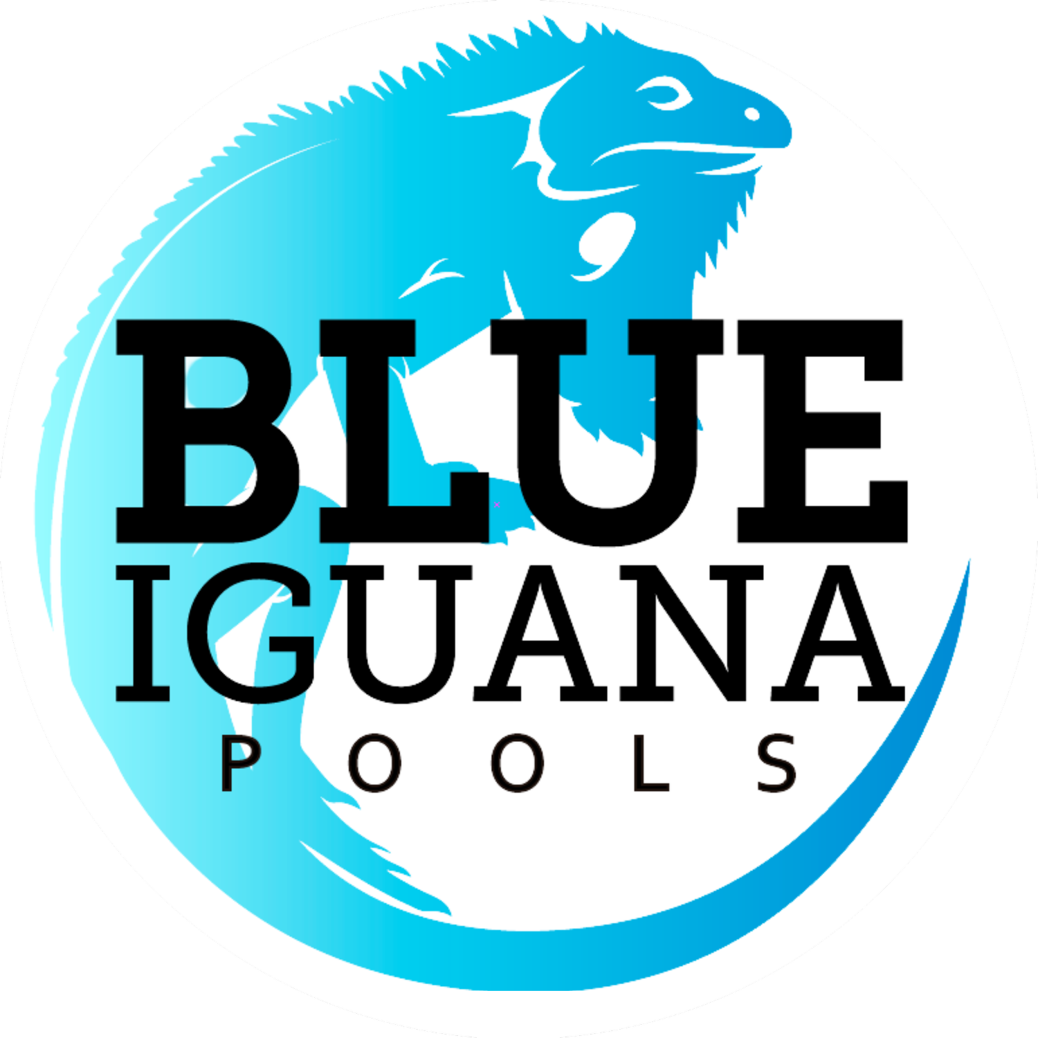 Blue Iguana Pools