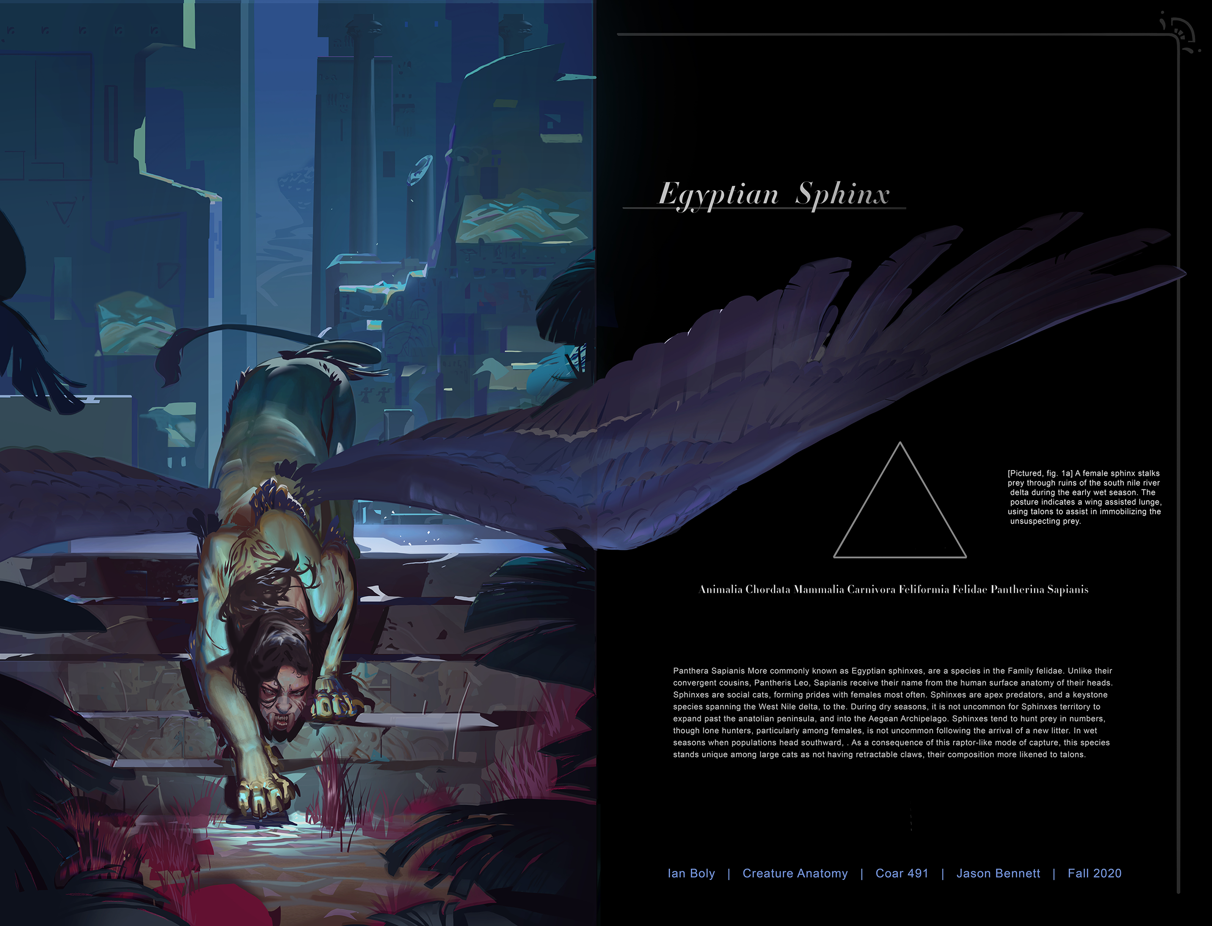 sphynx - IBG.png