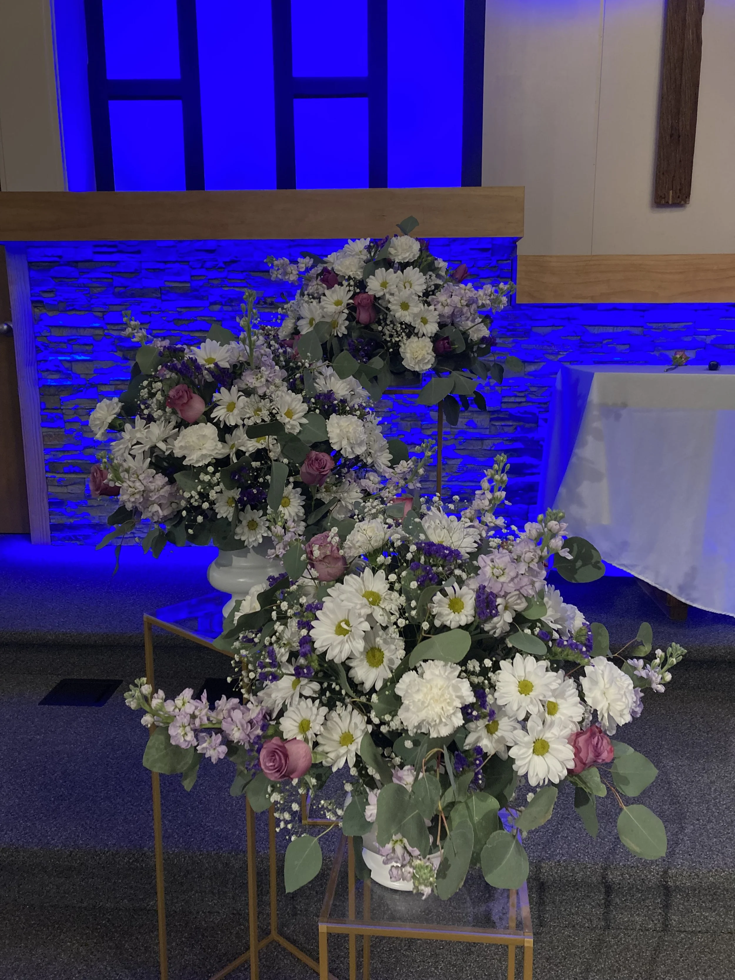 IMG_4813.jpeg