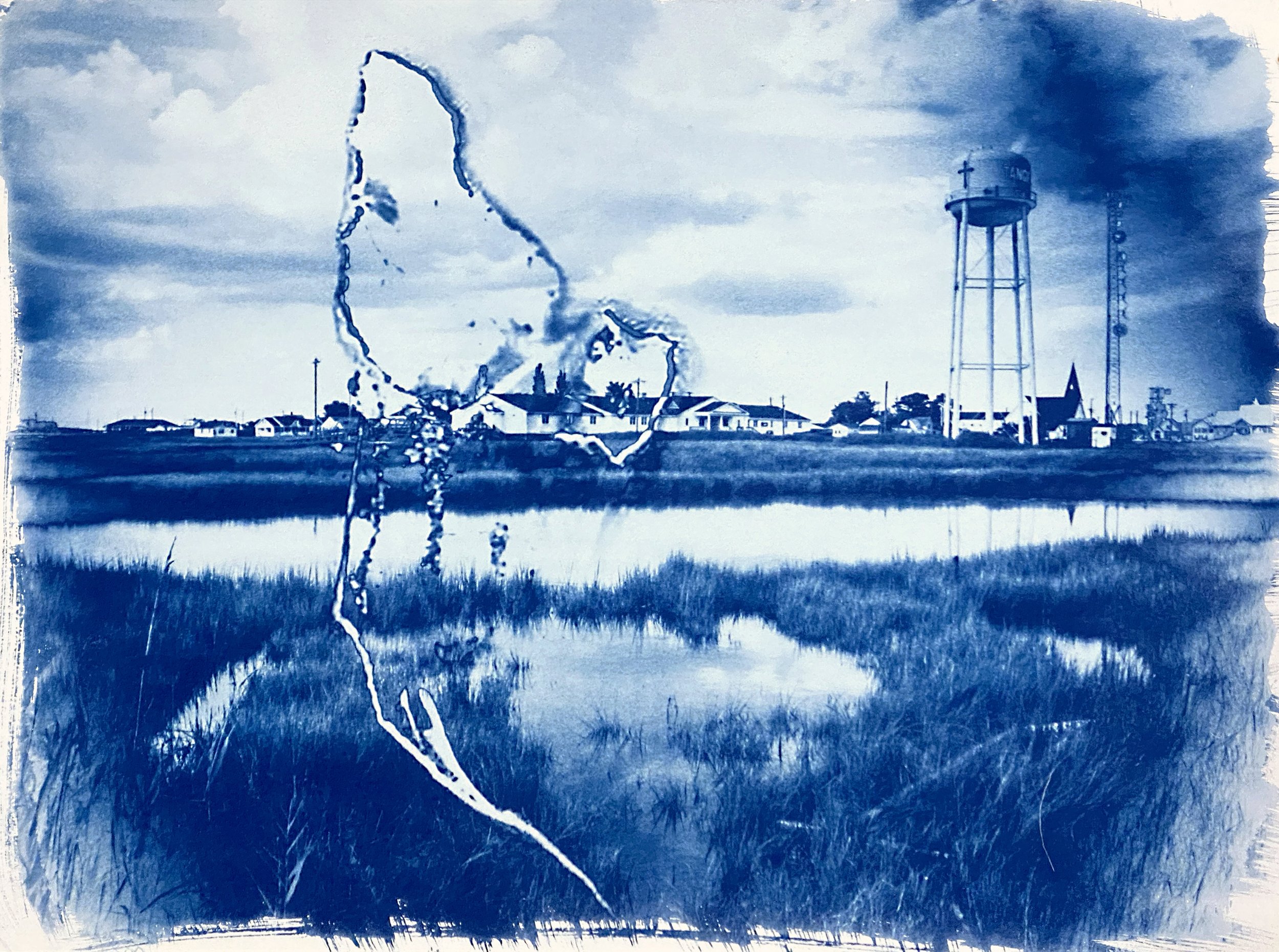 What Can Be Seen, Cyanotypes and Tea-stained Cyanotypes on Arches Platine (2024)