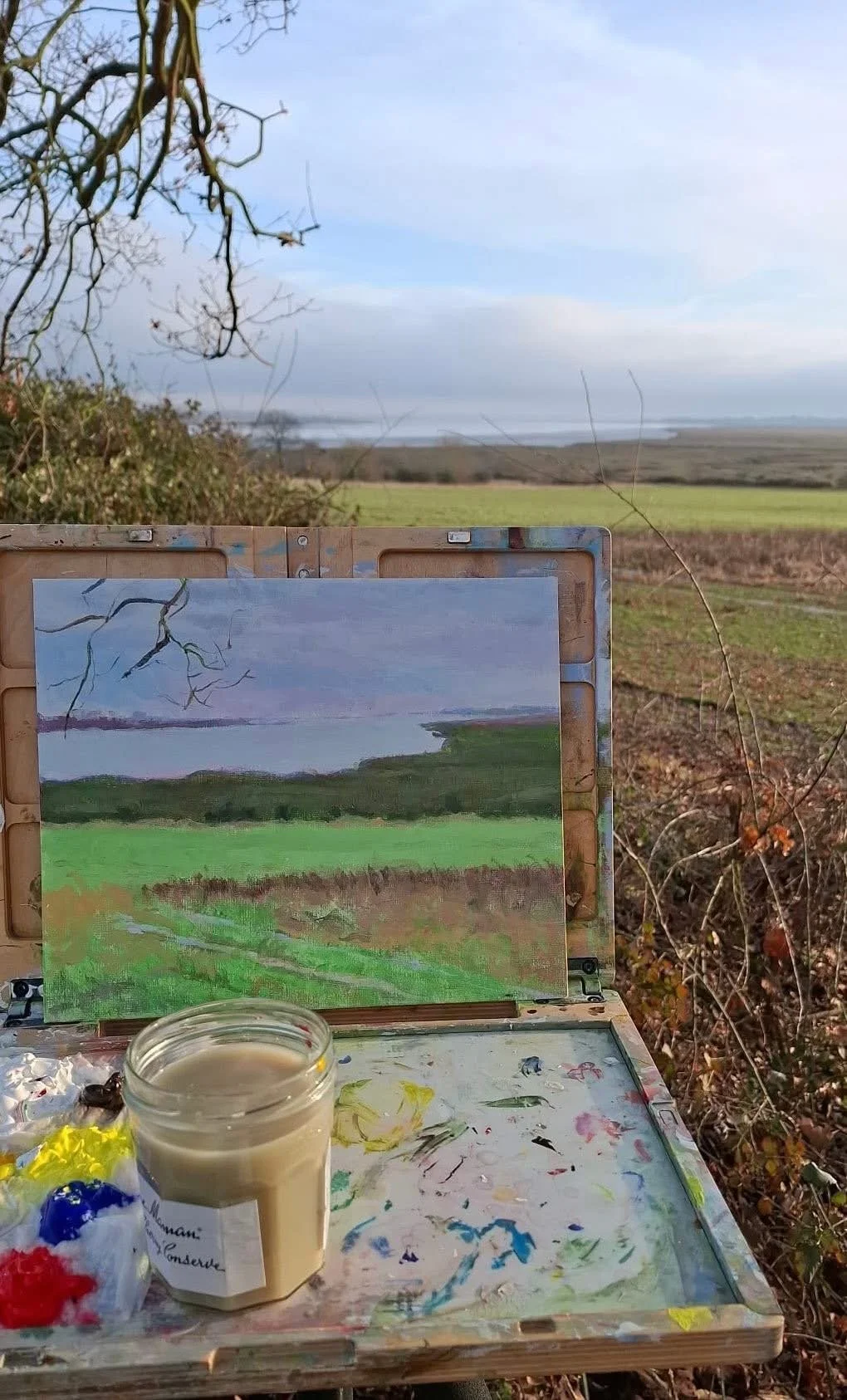 DAS Plein Air ~ 17th  January  2026 - Fingringhoe & Wick Nature Reserve    