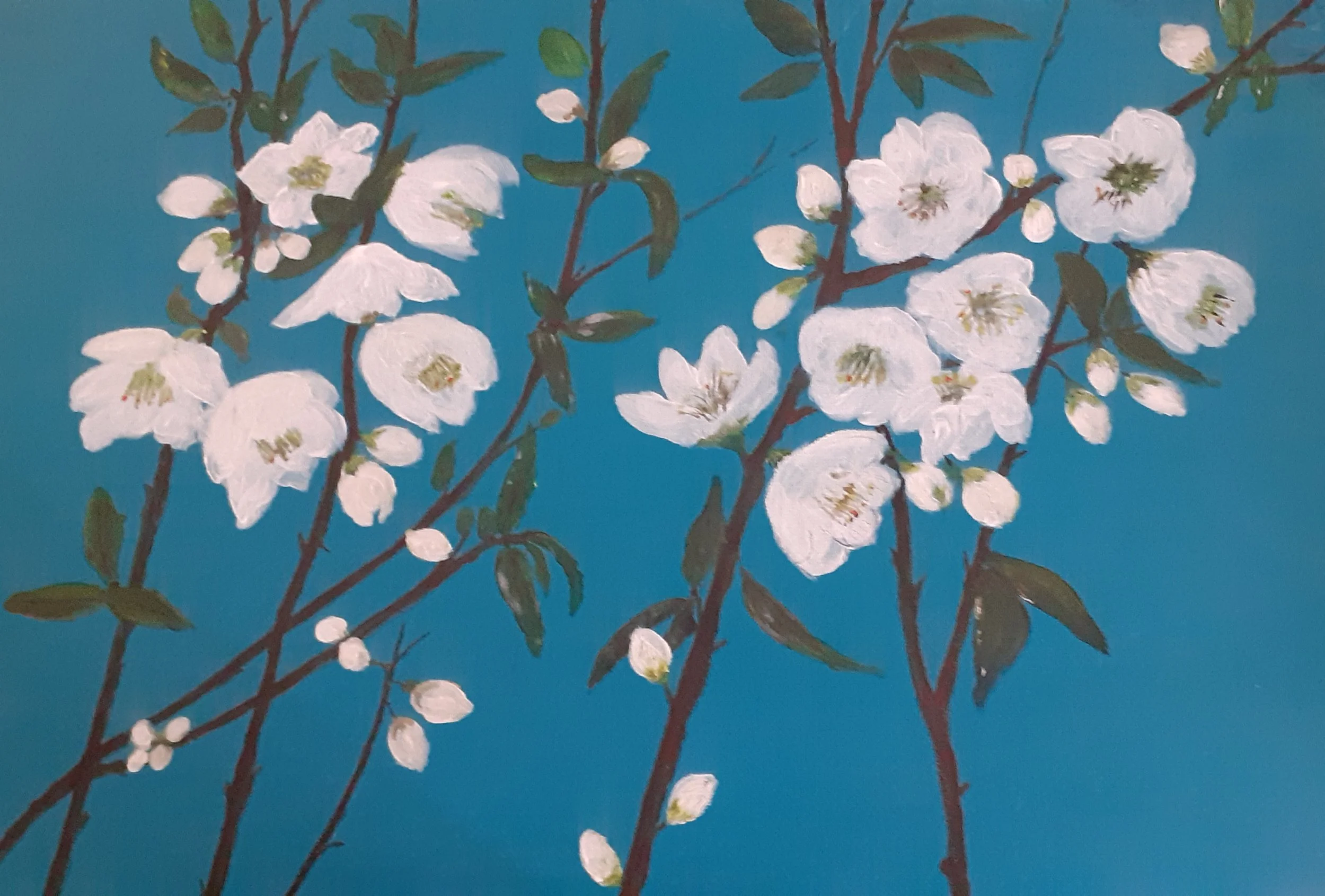 Cherry Blossom