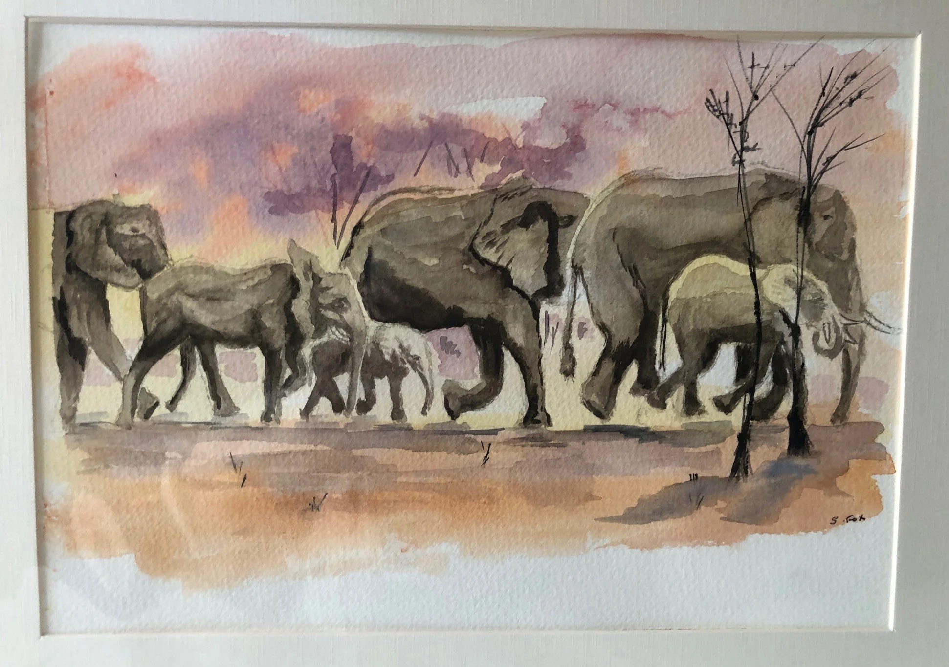 Elephants.jpeg