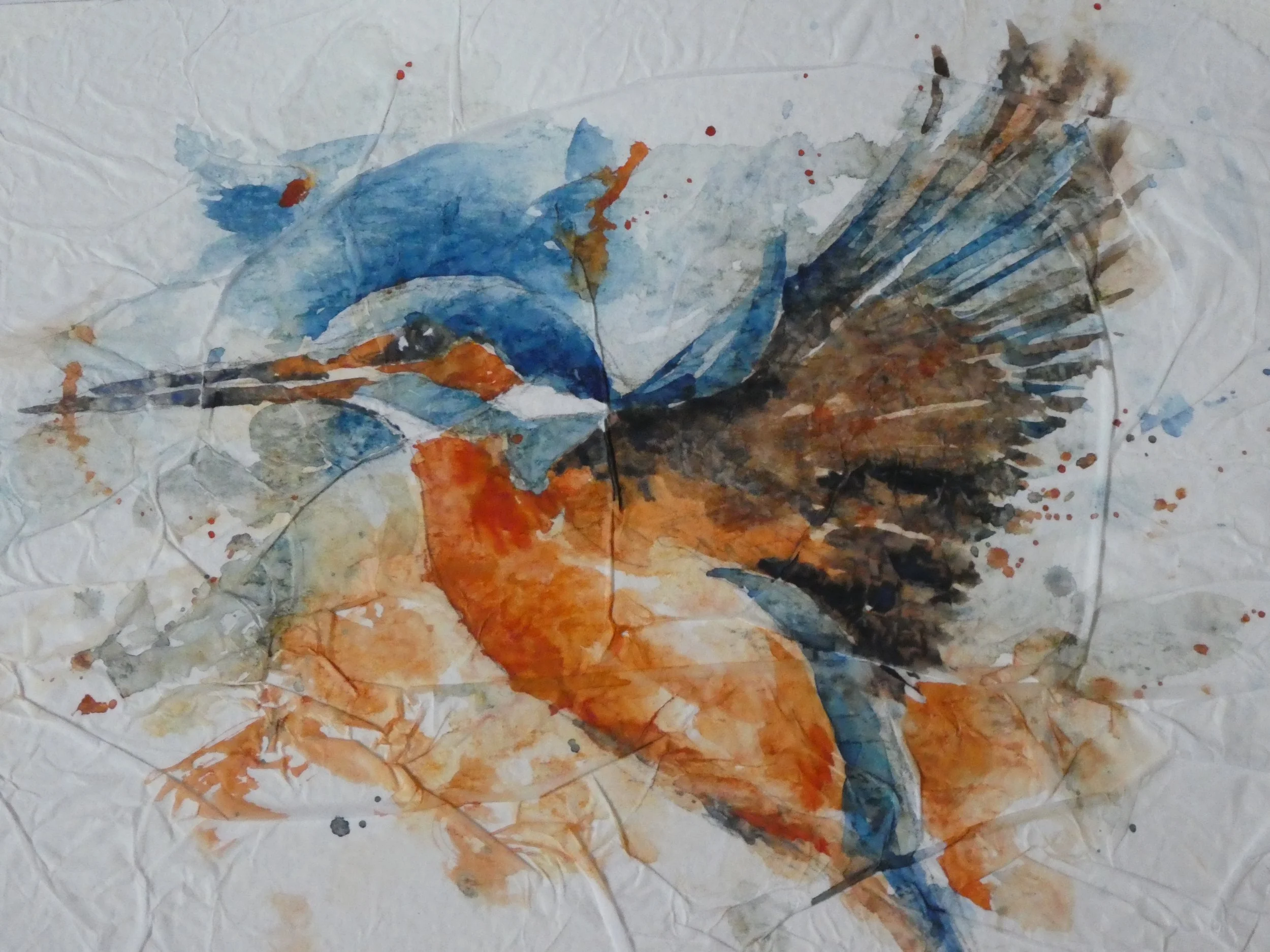 Kingfisher in flight
