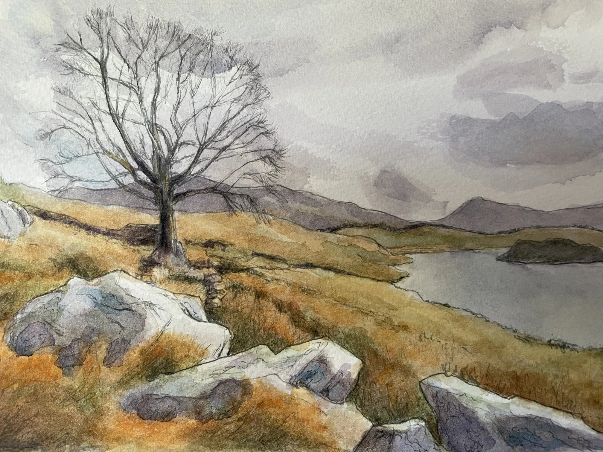 Solitary Tree