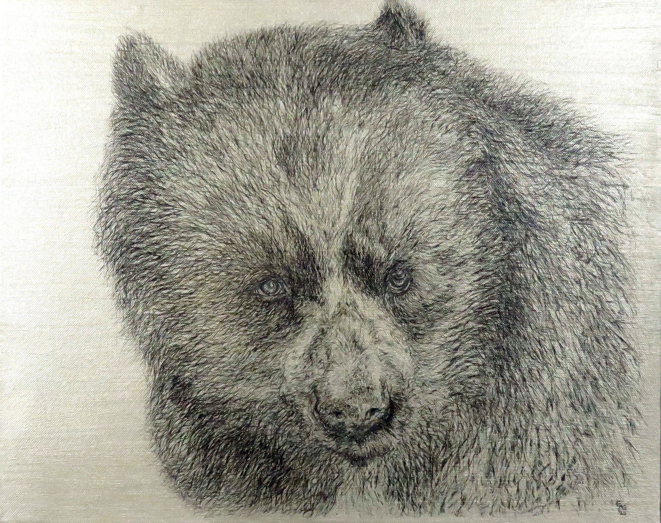 Aurelian Bear, Acrylic, Pen and Ink